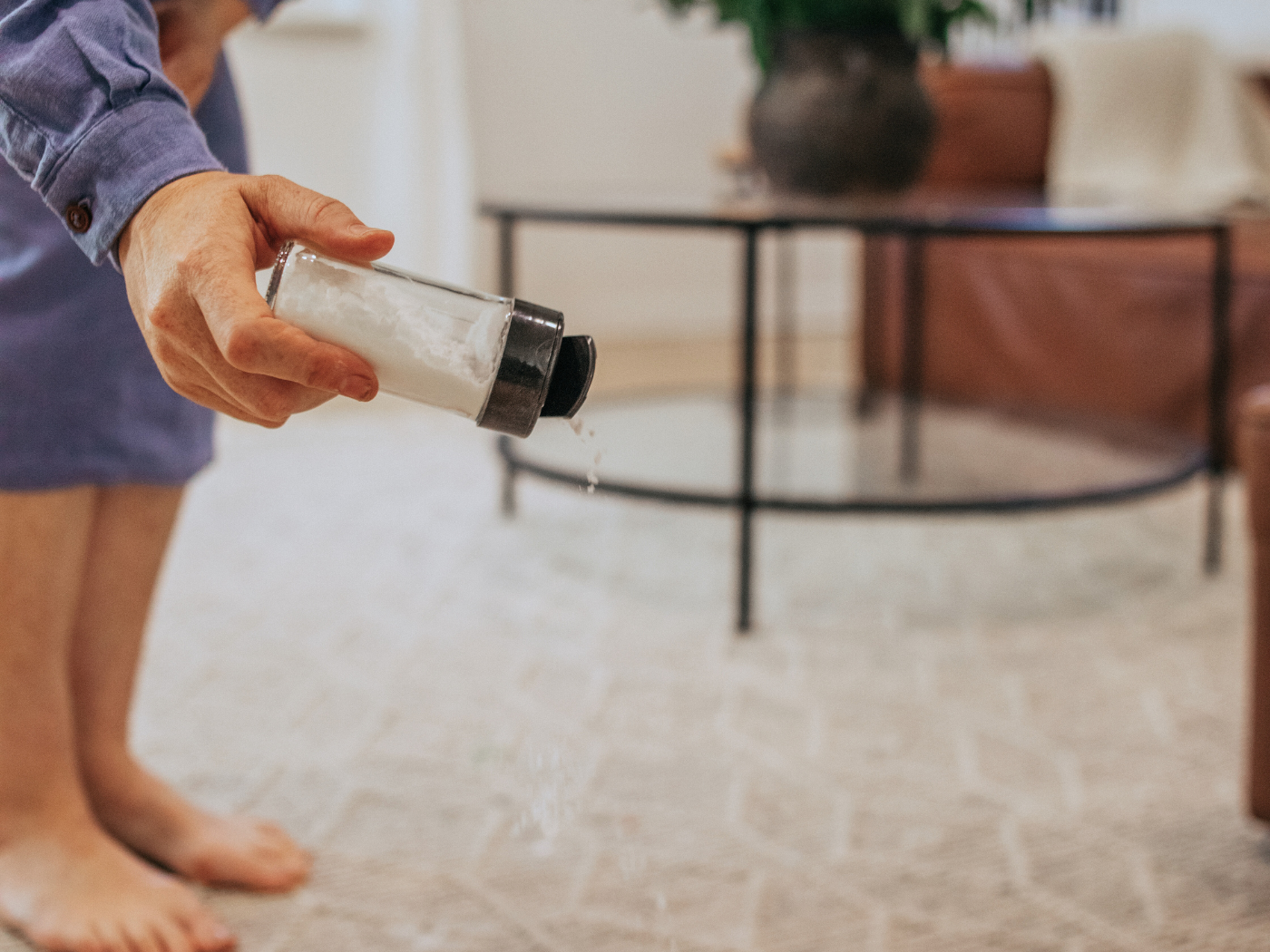 DIY Carpet Deodorizer With Essential Oils